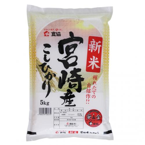 新米 宮崎こしひかり　5kg   【最短翌日発送】