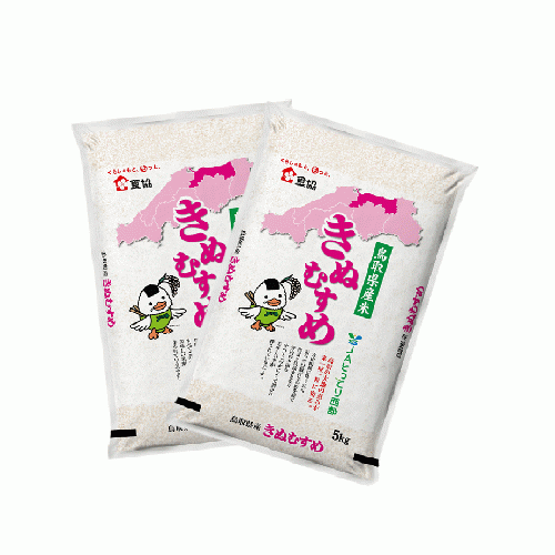鳥取県産きぬむすめ　5㎏×2袋 (送料無料)